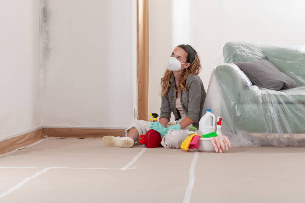 Reliable Mold Testing contractor in Livermore, CO by WQB Mold Removal